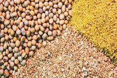 تخصیص ۱۰۰ درصدی یارانه تامین نهاده‌ها و عوامل تولید کشاورزی از سوی دولت